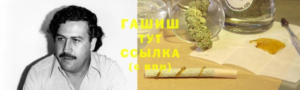 хмурый Алзамай