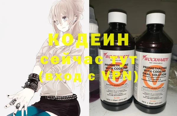 хмурый Алзамай