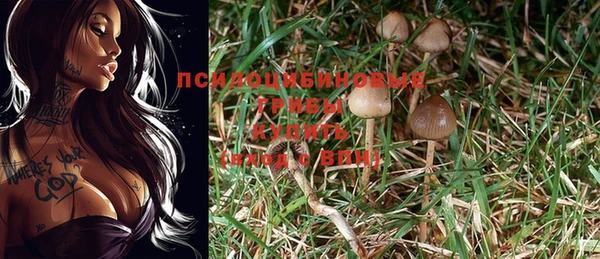 гидропоника Абдулино