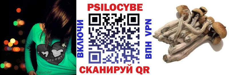 Галлюциногенные грибы Psilocybe  купить  цена  Норильск 
